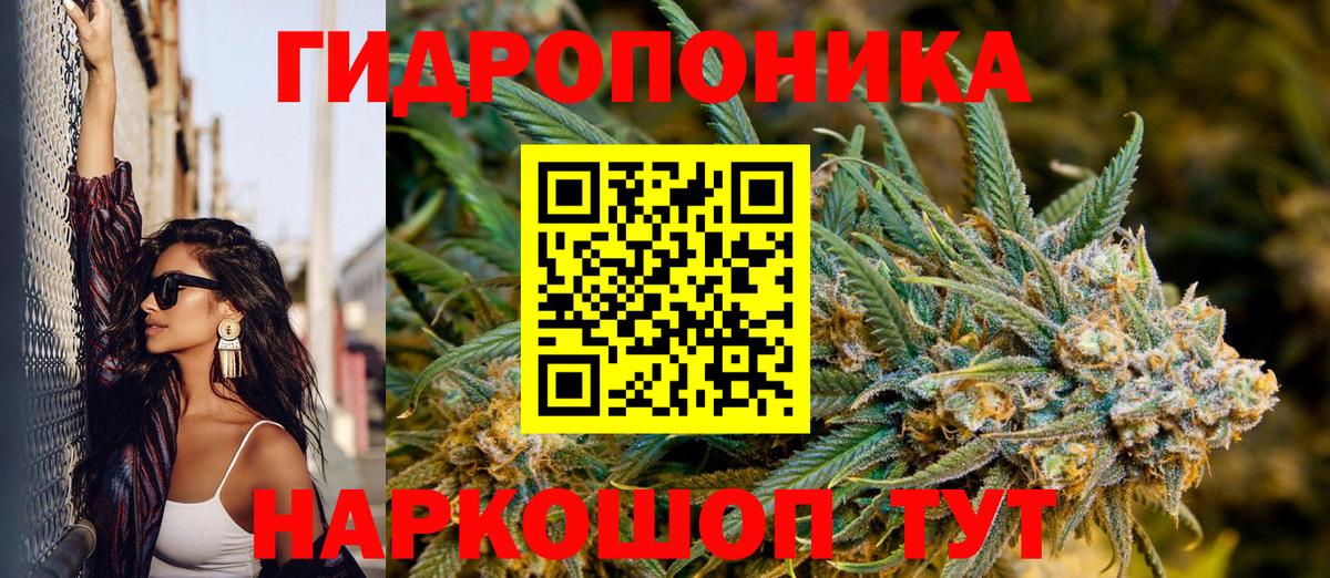 Саранск  Канабис семена  Шишки марихуана индика  Вход с VPN  Шишки марихуана AK-47 
